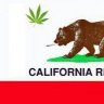 BearFlagBuds