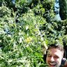 Gentleman420
