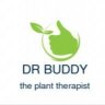 Dr buddy