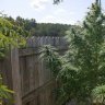 Yololive69