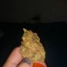 Shortysugar