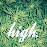 Crazystrains