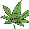 My420Seeds