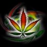 GaGrown420