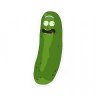 PickleRick