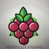 BerryLit