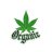 Organic Rich