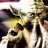 Padawan