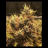 EcoFarm
