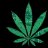 DreamTHC