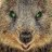 Quokka420