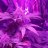StonedScuba