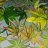 Cannalife642
