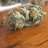 Nz420
