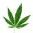 LandraceGrower