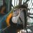 Rich_W