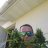 Flogrown66