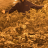 RobbysPro