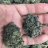 Royalcloudzfarms