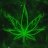 BudHolly
