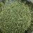 toneloc420