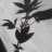 High_Flyer