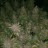 fb420