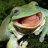 Frog666