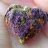cannaquestions4you