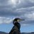 Wark