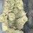 Potfarmer1