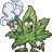 Growbro20