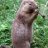 420gopher