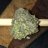 MailManFarms0420