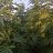 Cataloniaorganics