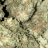 Drc3179
