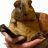 Baklaga