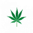 BaileysBud