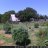 Thebarnlot