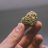 Specialgrow7797
