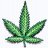 Smokeup