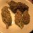 Experienced.grower