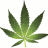 CyborgGold