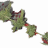 Growdom