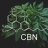 CBS2020