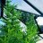reefer20