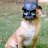 terpy_tetons