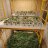 HarleySweetLeafGrowHouse