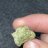 Frostedleafs