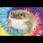 toads_terpikes